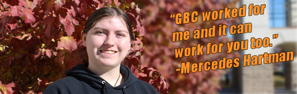 Dual Credit page title graphic.