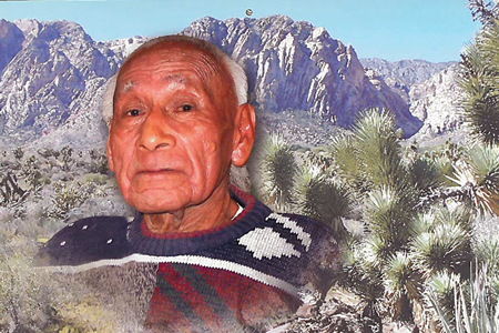 Elder and Mountains. Elder and Mountains graphic.
