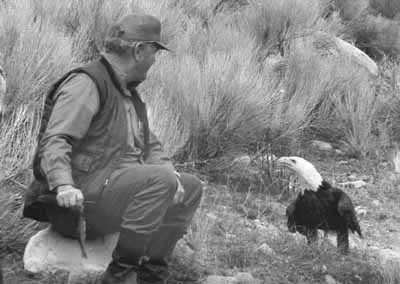 Silver begging for a fish lunch.