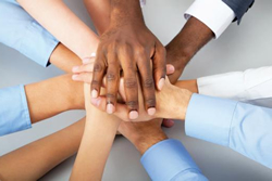 GBC Human Services Degree. GBC Human Services Degree graphic.